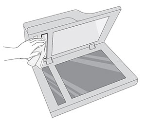 Il pannello di vetro dell'ADF nella parte inferiore del coperchio dello scanner viene pulito.