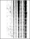  A page with vertical dark lines or streaks.