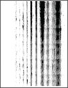 A page with vertical dark streaks of lines and missing print.