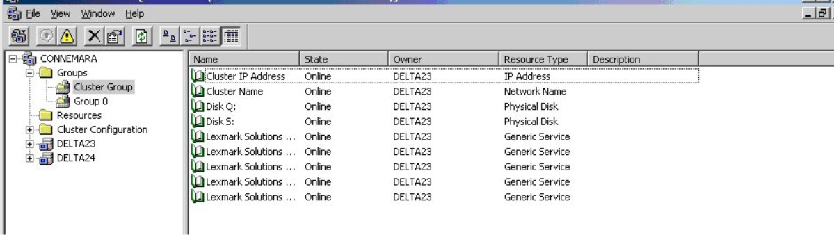 The configured cluster with the necessary services