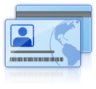 the Card Copy icon
