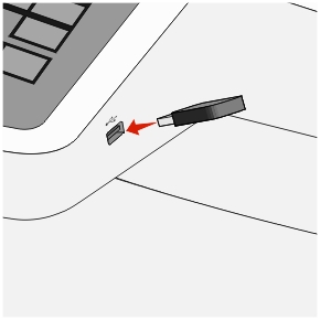 picture showing how to insert a flash drive into the printer usb port